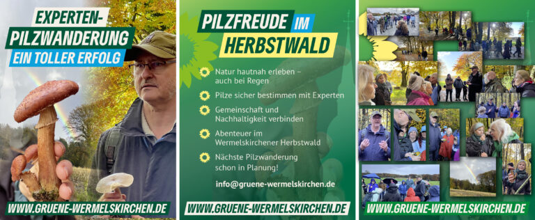 Pilzfreunde im Herbstwald
