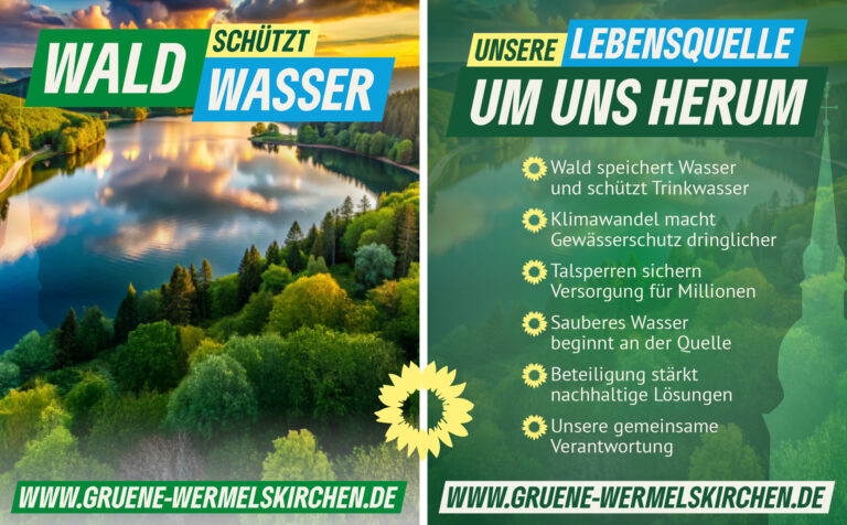 Wald schützt Wasser