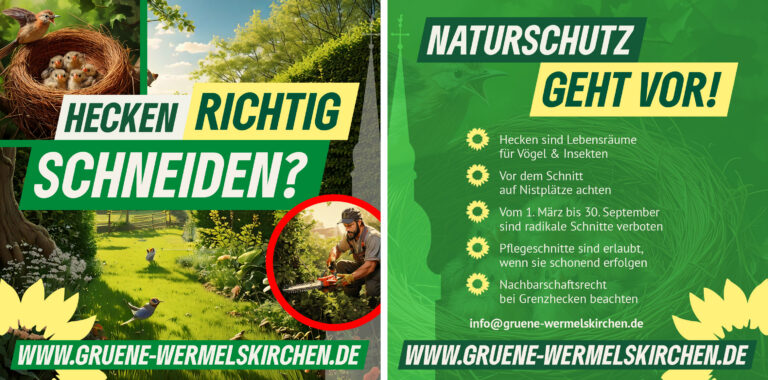 Hecken richtig schneiden?