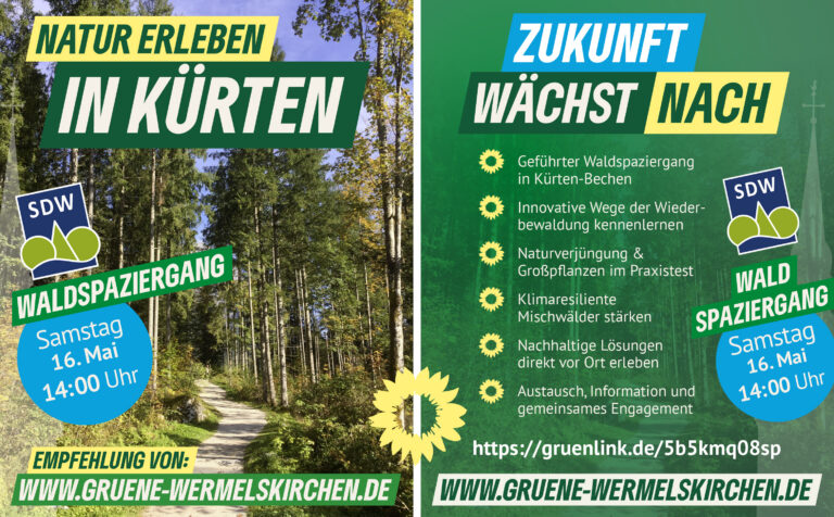 Waldspaziergang – Natur erleben